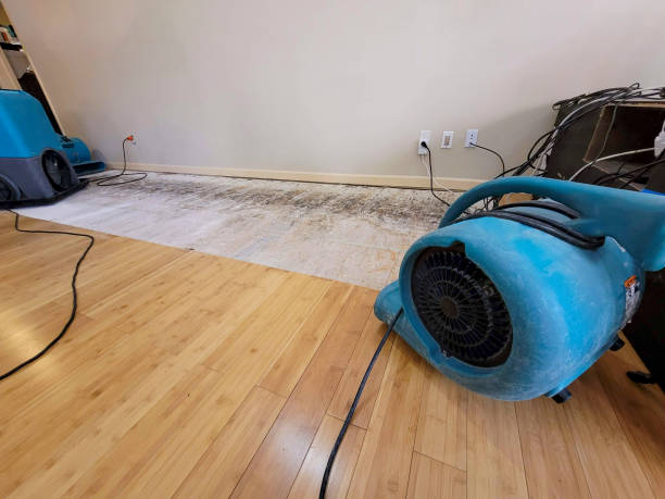 Professional Water Damage Repair technician working in Belleville, KS
